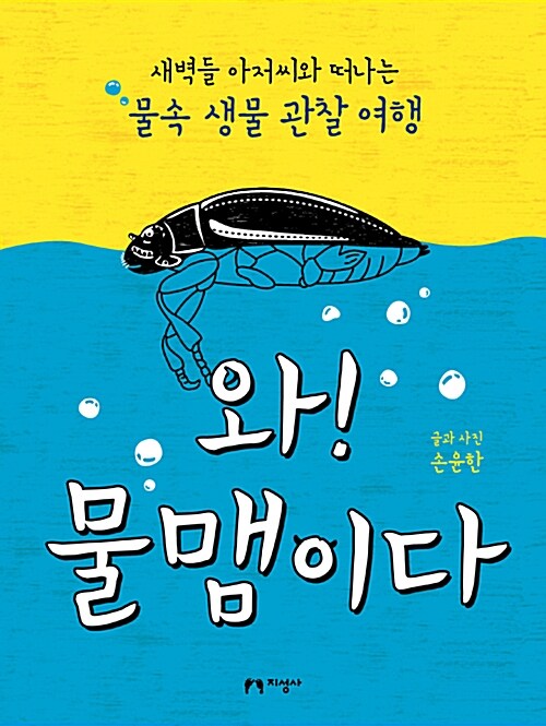 와! 물맴이다 표지