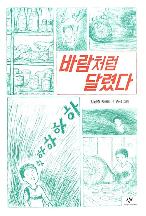 바람처럼 달렸다  표지