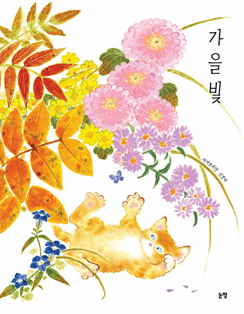 가을빛 표지