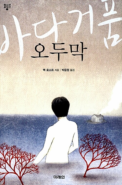 바다거품 오두막  표지