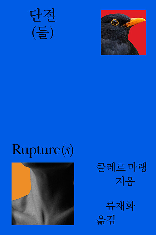 단절(들) 표지