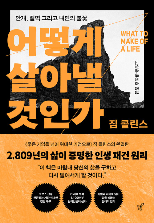 어떻게 살아낼 것인가 표지