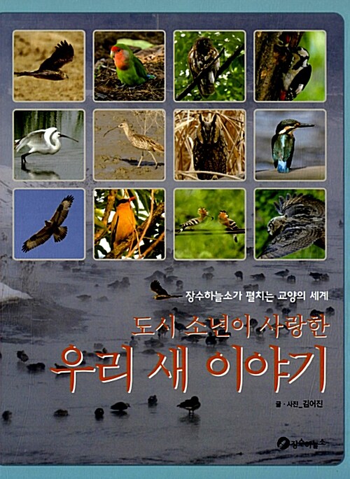 (도시 소년이 사랑한) 우리 새 이야기  표지